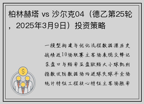 柏林赫塔 vs 沙尔克04（德乙第25轮，2025年3月9日）投资策略