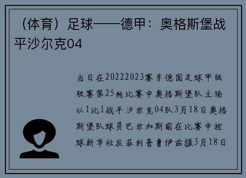 (体育)足球——德甲:奥格斯堡战平沙尔克04